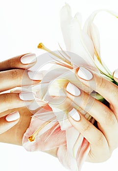 Beauty delicate hands with manicure holding flower lily close up isolated on white, spa salon concept