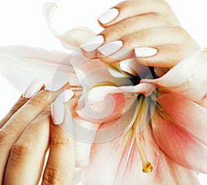 Beauty delicate hands with manicure holding flower lily close up isolated on white, spa salon concept