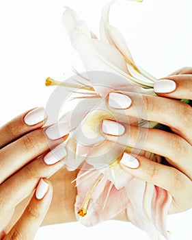 Beauty delicate hands with manicure holding flower lily close up isolated on white, spa salon concept