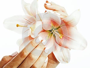 Beauty delicate hands with manicure holding flower lily close up isolated on white, spa salon concept