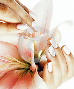 Beauty delicate hands with manicure holding flower lily close up isolated on white, woman perfect shape