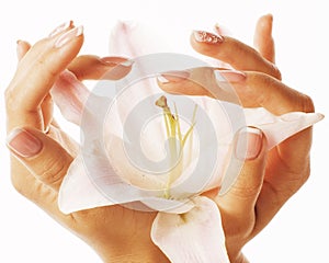 Beauty delicate hands with manicure holding flower lily close up on white