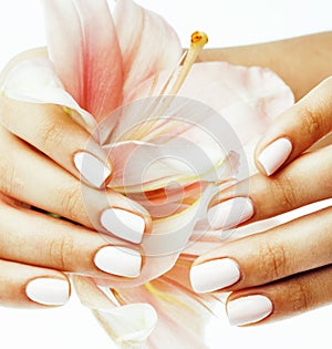 Beauty delicate hands with manicure holding flower lily close up on white, woman perfect shape