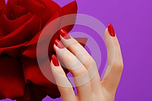 Beauty delicate hands with manicure holding pink flower close up. Beautiful nails and flower close-up, great