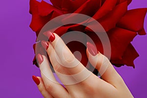 Beauty delicate hands with manicure holding pink flower close up. Beautiful nails and flower close-up, great