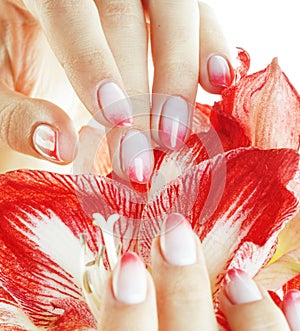 Beauty delicate hands with pink Ombre design manicure holding flower amaryllis close up isolated warm macro