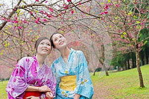 Beauty elegant female travelers looking at sakura