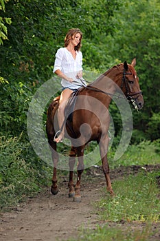 Beauty equestrian model rides a horse through a forest