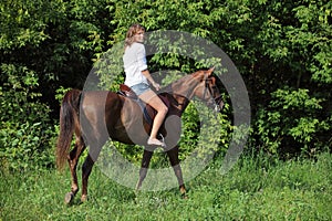 Beauty equestrian model rides a horse through a forest