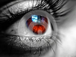 Beauty is in the eye of the beholder