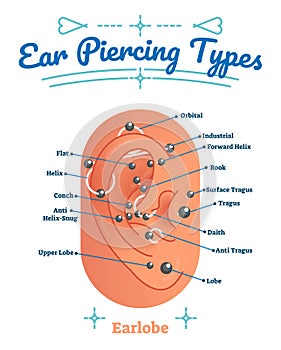 Beauty and fashion medical vector illustration diagram with types of ear piercing. Pierced human earlobe labeled scheme.
