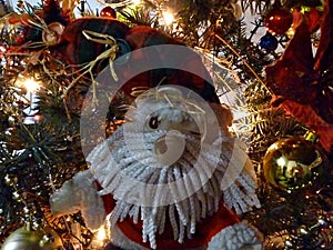 Beauty felt Santa with Christmas tree branches and light