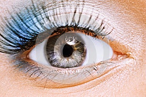Beauty female eye with blue make