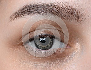 Beauty female eye with curl long false eyelashes.