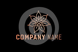 Beautifull Abstract Flower Logo Design Template photo