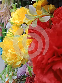 Beauty flower yellow and red in one touch