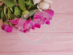 beauty flowers fresh peonies on a pink wooden background, summer frame