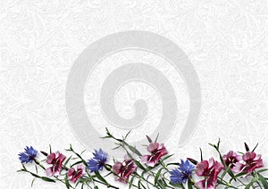 Beauty flowers on white background. greeting card with spa