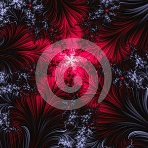 Beauty fractal with star, black and red color