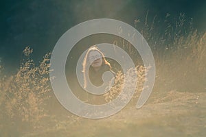 Beauty Girl Outdoors enjoying nature. Beautiful Teenage Model girl with long healthy blowing hair running on the Spring Field, Sun