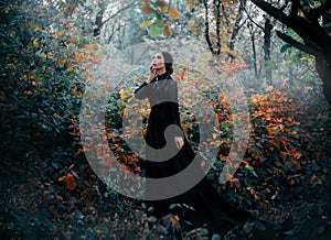 Beauty Gothic princess walks in autumn forest. Fantasy mystical dark backdrop.