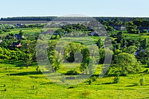 Beauty green summer rural landscape