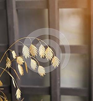 Beauty group of dry golden  brown leaves shapen japanese wooden door. retro style picture.copy space for text. decorative outdoor