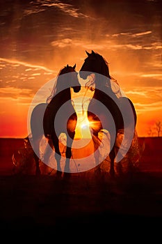 Beauty of horses\' silhouettes against an abstract sunset. The scene is both dramatic and serene