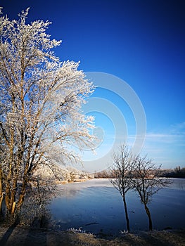 Beauty of iced landscape