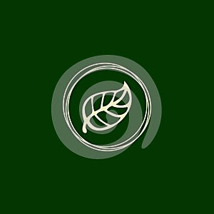 Beauty leaf logo circle and green