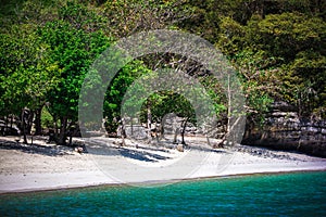 Beauty limestone rock in the ocean and beach with