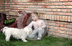 Beauty little girl play with Maltese puppy