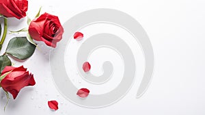 beauty love roses background