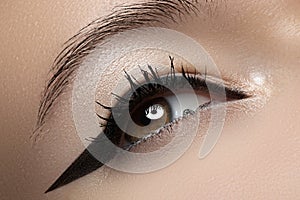 Beauty macro of eye with fashion liner make-up