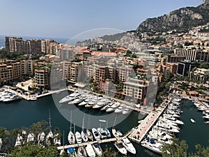 The Beauty of Monte Carlo