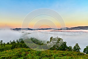 The beauty morning fog, sunrise, trees