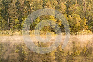 Beauty morning tone at Matheson water lake mirror forest effect