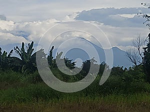 The beauty of mount arjuno