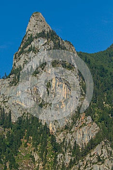 The beauty and mystery of the mystical landscape in the Austrian Alps.