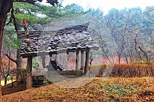 The beauty of Nami Island #southkorea #seoul #goblin #6 photo