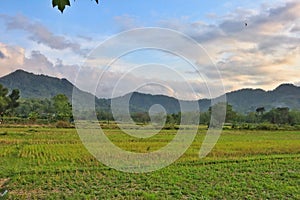 The beauty of natural scenery in rurar Klaten,Central Java.