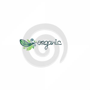 Beauty of nature doodle organic leave emblem, frame and logobea