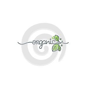 Beauty of nature doodle organic leave emblem, label and logo