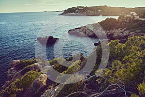 Beauty of nature in Ibiza island. Pines on rocks above the sea view in sunset photo