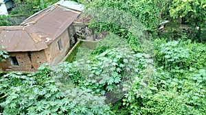 Beauty of the nature...for nature lover