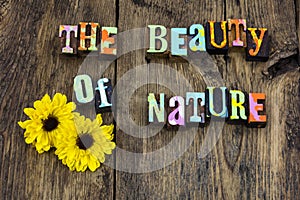 Beauty nature miracle flower natural purity life