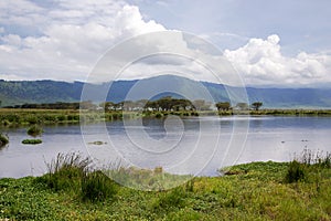 Beauty of nature near Lake Manyara with hippos