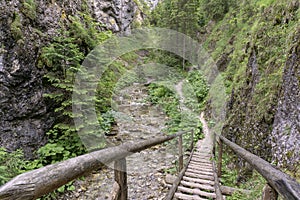 The beauty of nature in Slovakia. Juranova Valley.