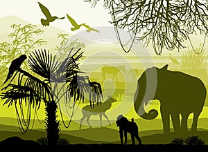 Beauty of nature with wild animals (elephant, monkey, antelope,