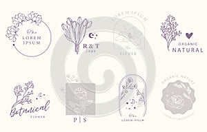 Beauty occult design collection with geometric,tulip,lavender,magnolia.Vector illustration for icon,sticker,printable and tattoo